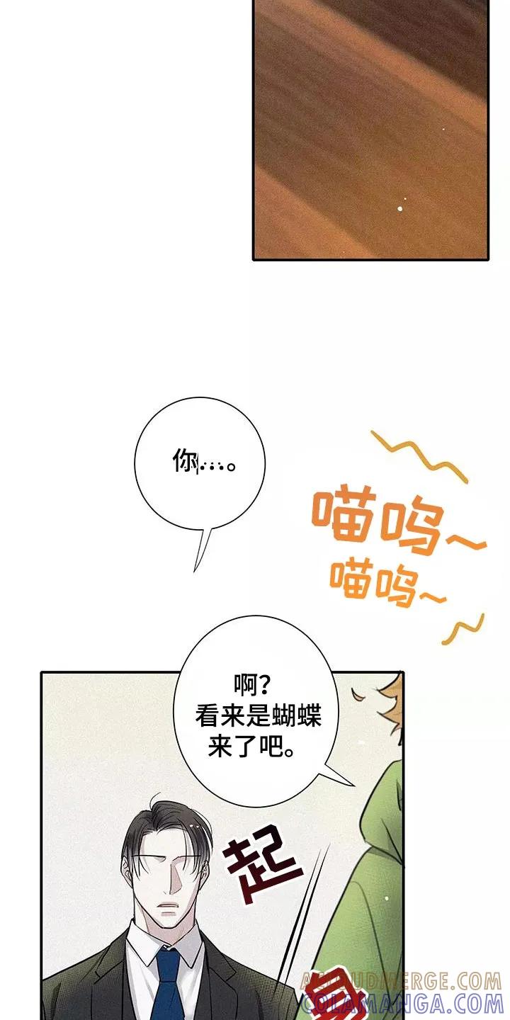 念念不忘 第34章：善良 第5页