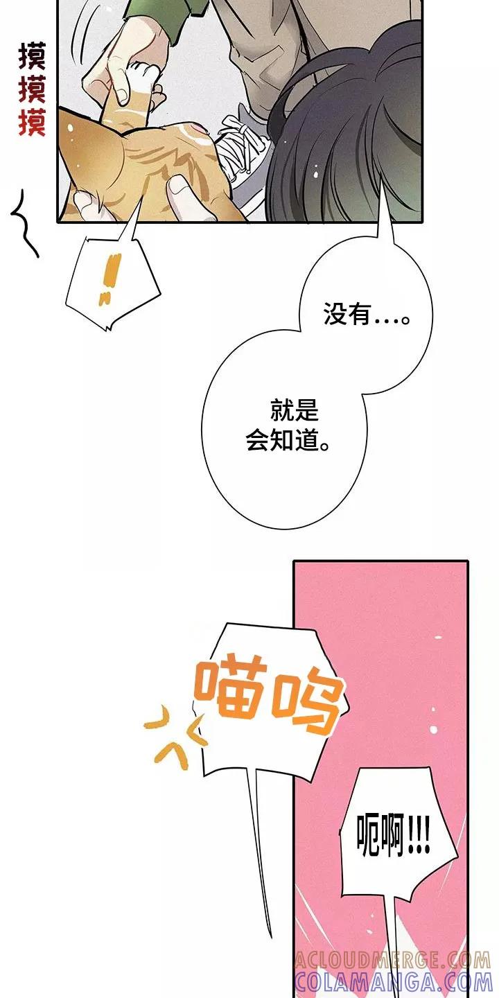 念念不忘 第34章：善良 第15页