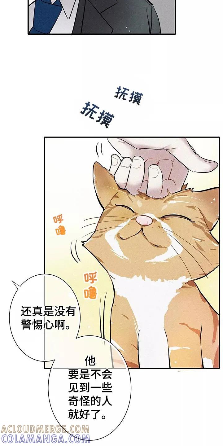 念念不忘 第34章：善良 第13页