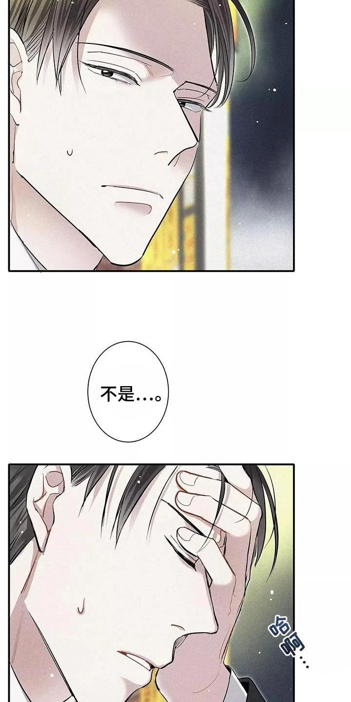 念念不忘 第35章：就像不会受伤一样 第2页