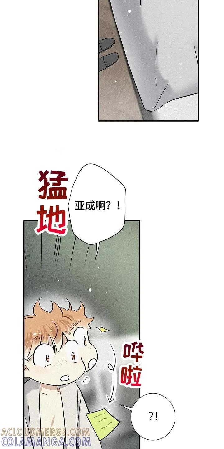 念念不忘 第38章：我不想说谎 第3页