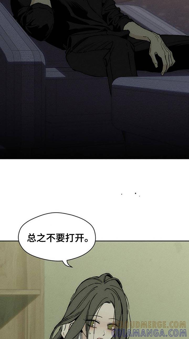 枯萎的花伤心的泪 第82章：不要打开袋子 第13页