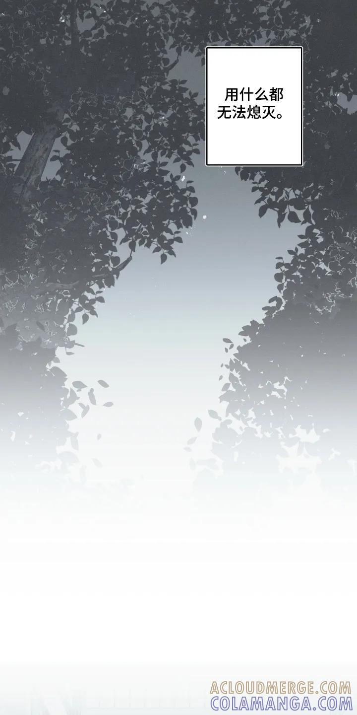 《蛇环凶危》第158章：【第四季】让他成婚 第11页