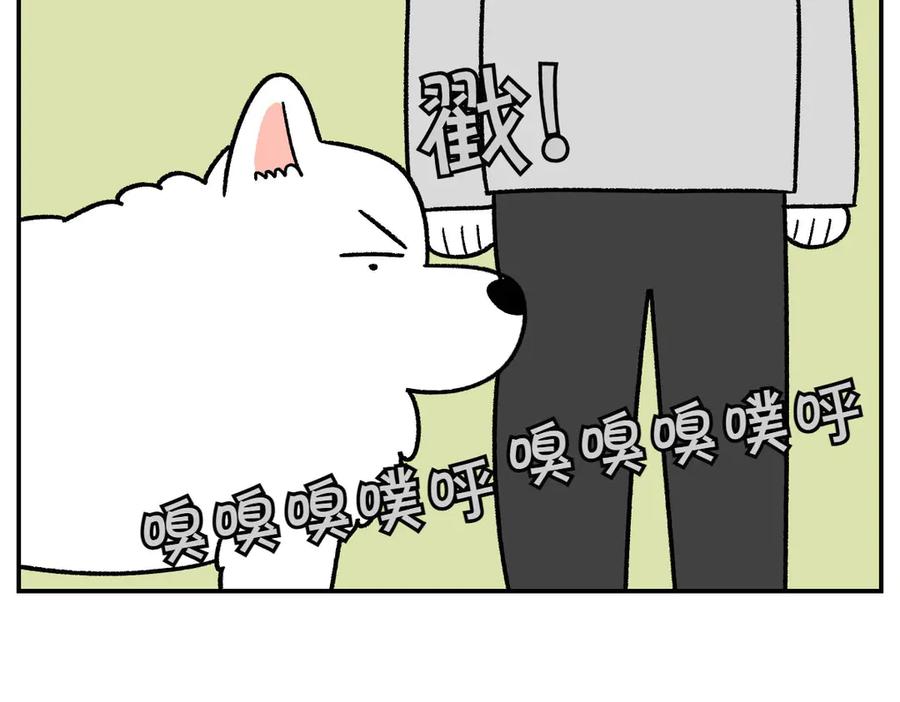 《我的狗子叫棉花》第60话 禁止单词-散步 第38页