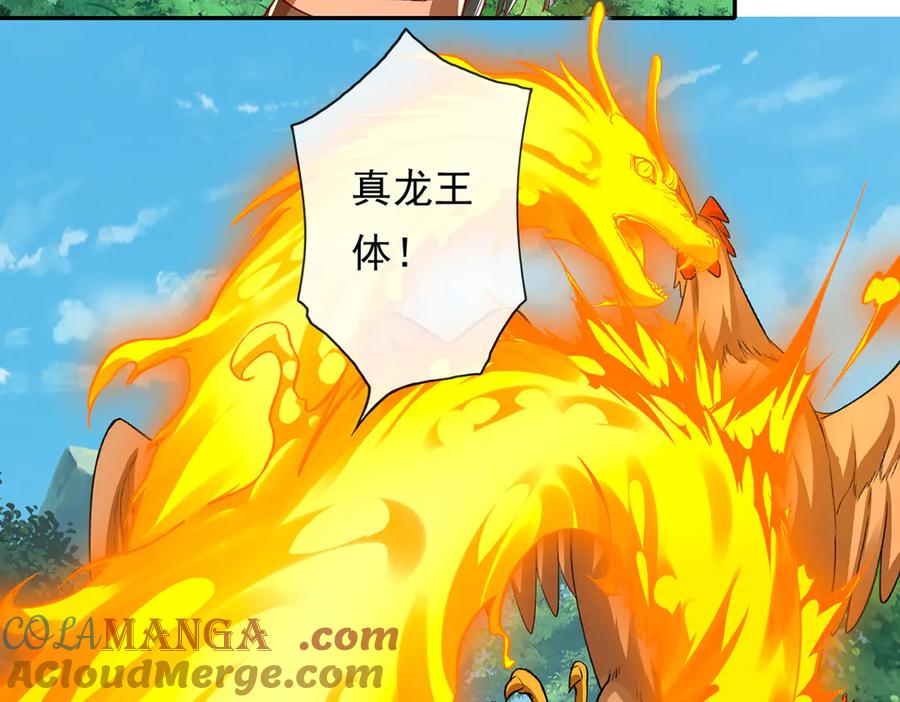 我可以无限顿悟 第206话 送你们点礼物 第28页