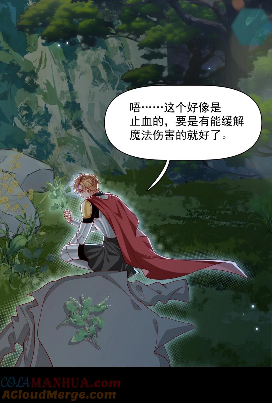 《恶役王子驯服勇者中》028 真心 第13页
