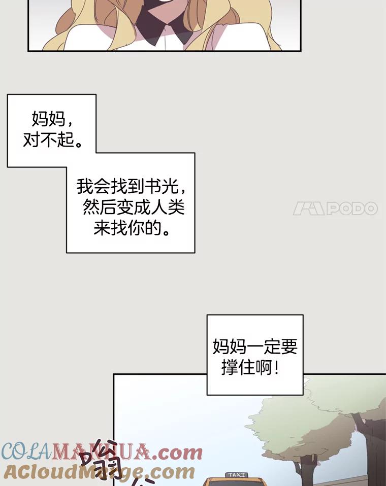 《厄运的恋人》20.寻找真命天子 第25页