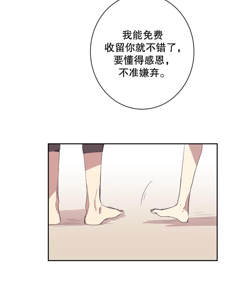 《厄运的恋人》23.收留 第23页