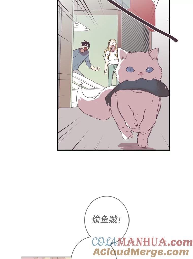 《厄运的恋人》38.偷鱼贼 第40页