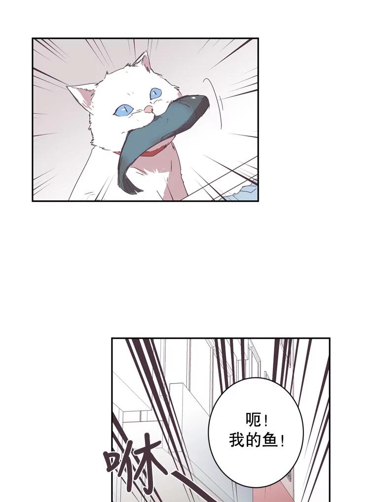 《厄运的恋人》38.偷鱼贼 第39页