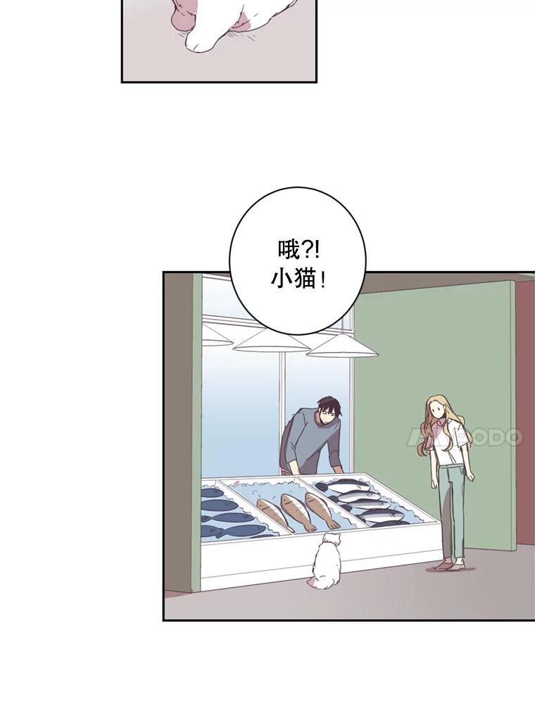 《厄运的恋人》38.偷鱼贼 第38页