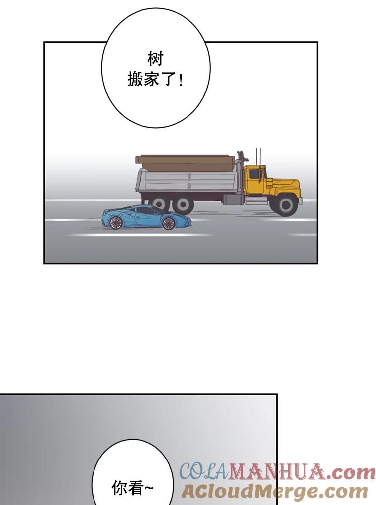 《厄运的恋人》39.釜山之行 第31页