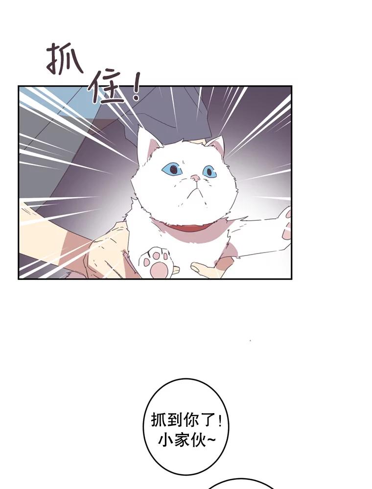 《厄运的恋人》40.临时翻译 第11页