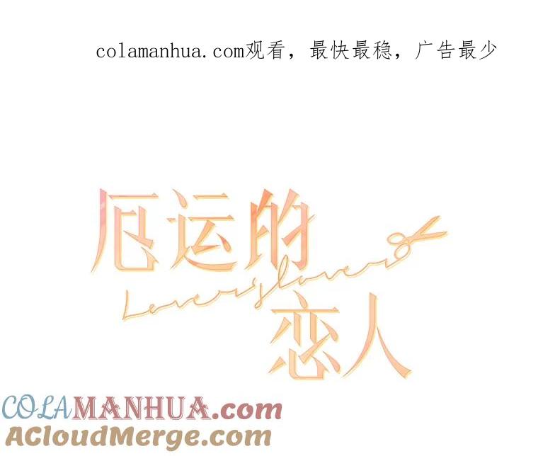 《厄运的恋人》43.露营谈心 第1页