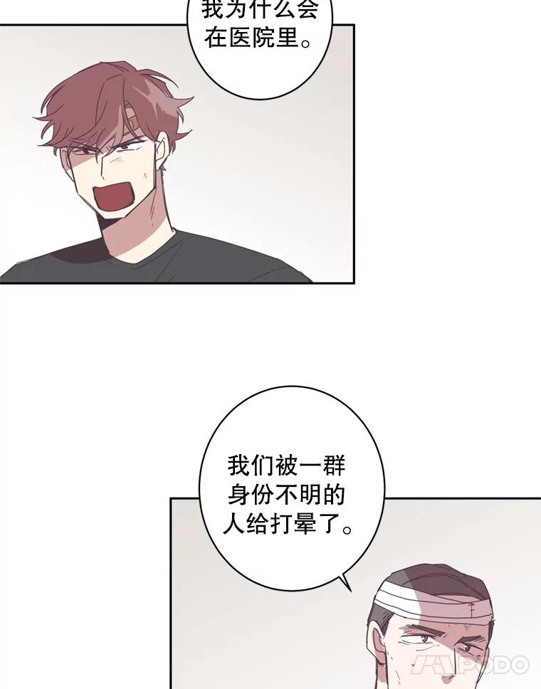 《厄运的恋人》47.支援项目 第11页