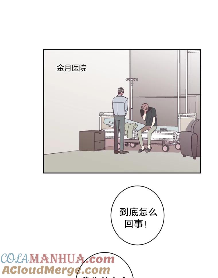 《厄运的恋人》47.支援项目 第10页