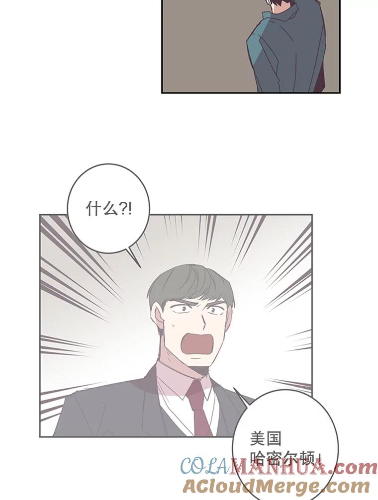 《厄运的恋人》50.绿色的雨伞 第46页