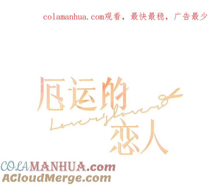 《厄运的恋人》53.重逢 第1页