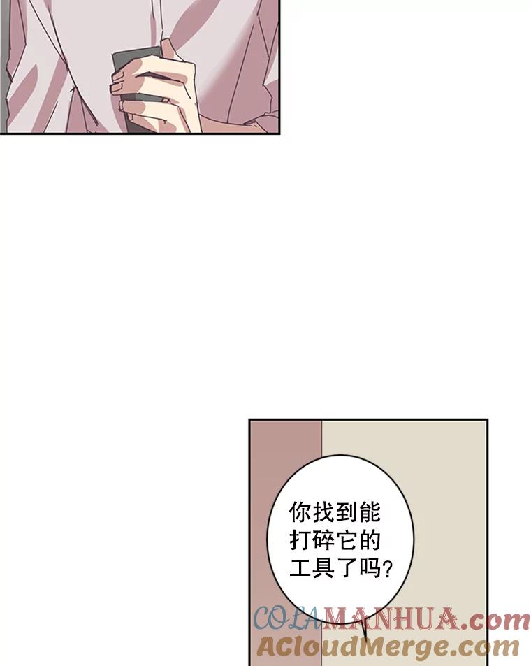 《厄运的恋人》55.项链 第46页