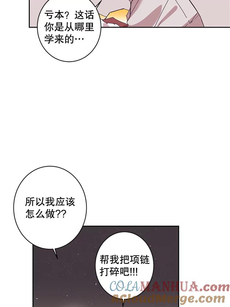 《厄运的恋人》55.项链 第28页