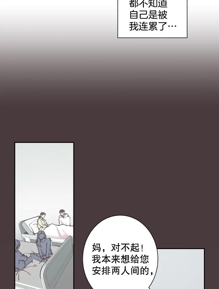 《厄运的恋人》61.回忆 第21页