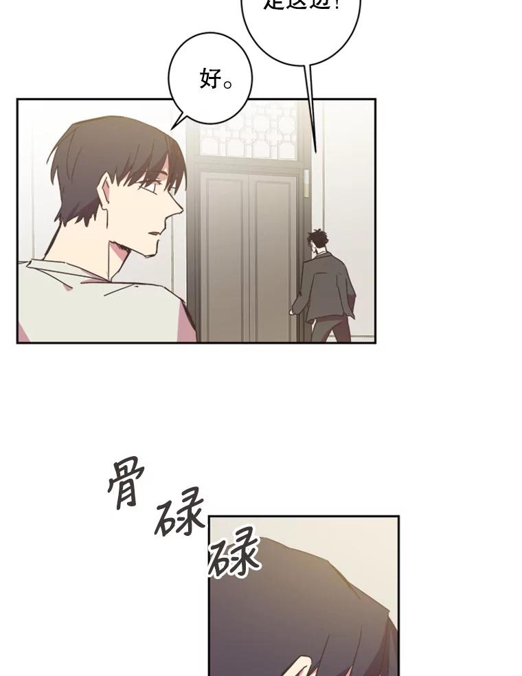 《厄运的恋人》64.计划 第62页