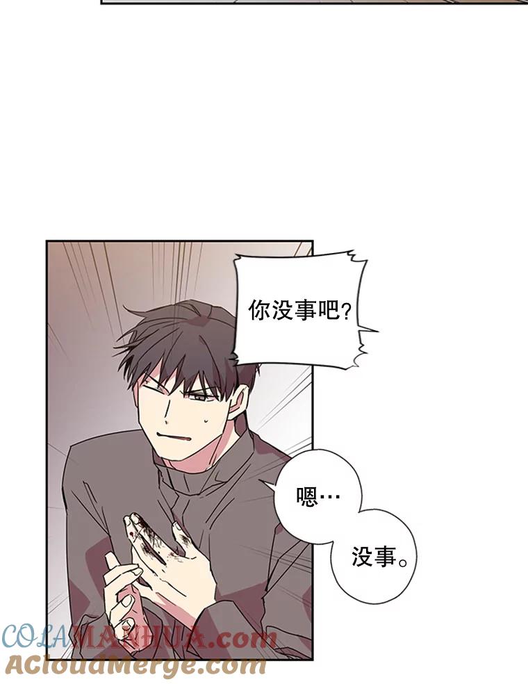 《厄运的恋人》66.重聚 第43页