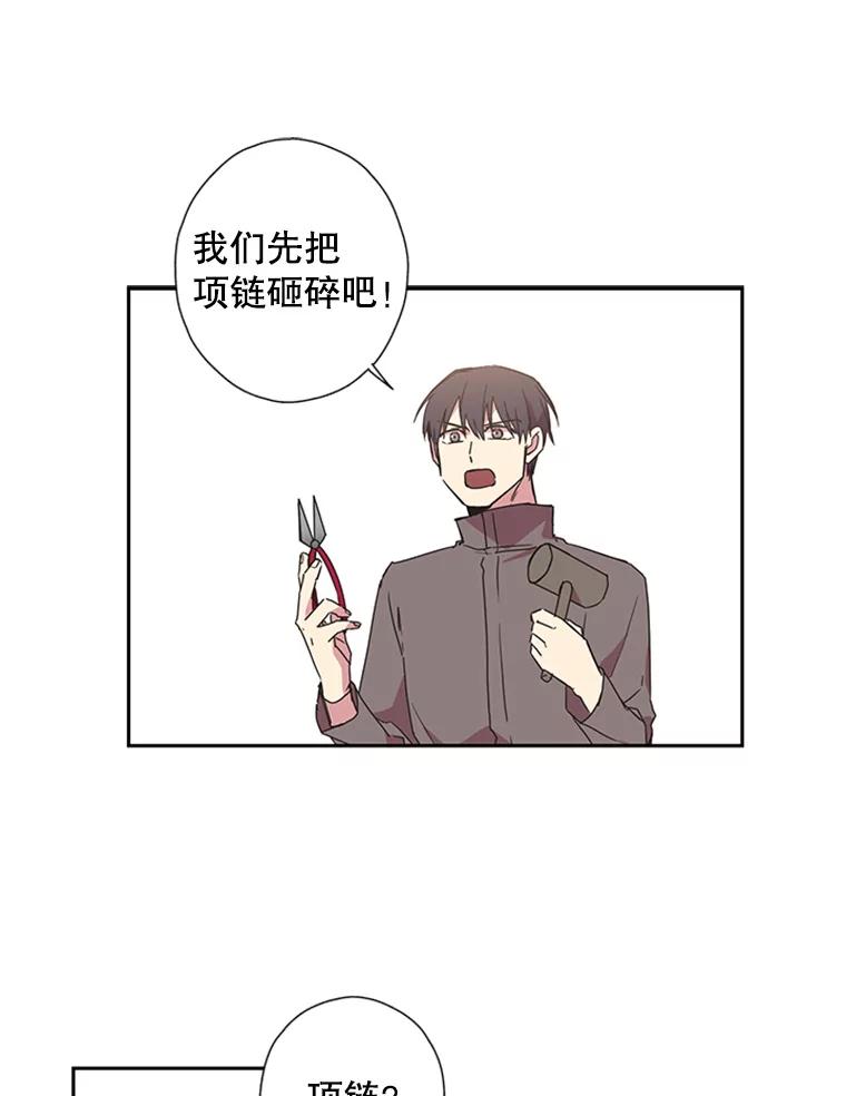 《厄运的恋人》66.重聚 第29页