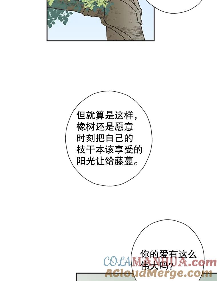 《厄运的恋人》73.家人 第34页