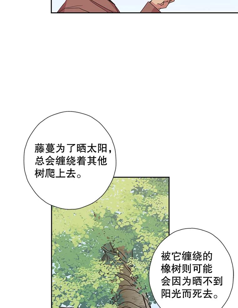 《厄运的恋人》73.家人 第33页