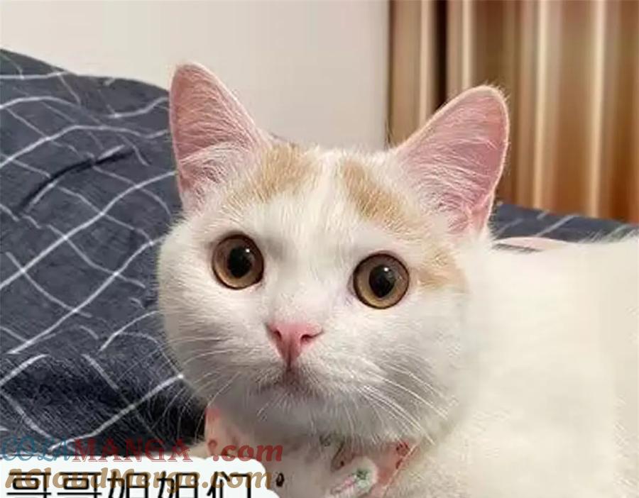 折腰 第101话 厉北承的惊喜 第73页