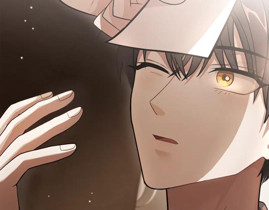 《凡菲尔德的秘密》第0话 新身份和起源 第74页