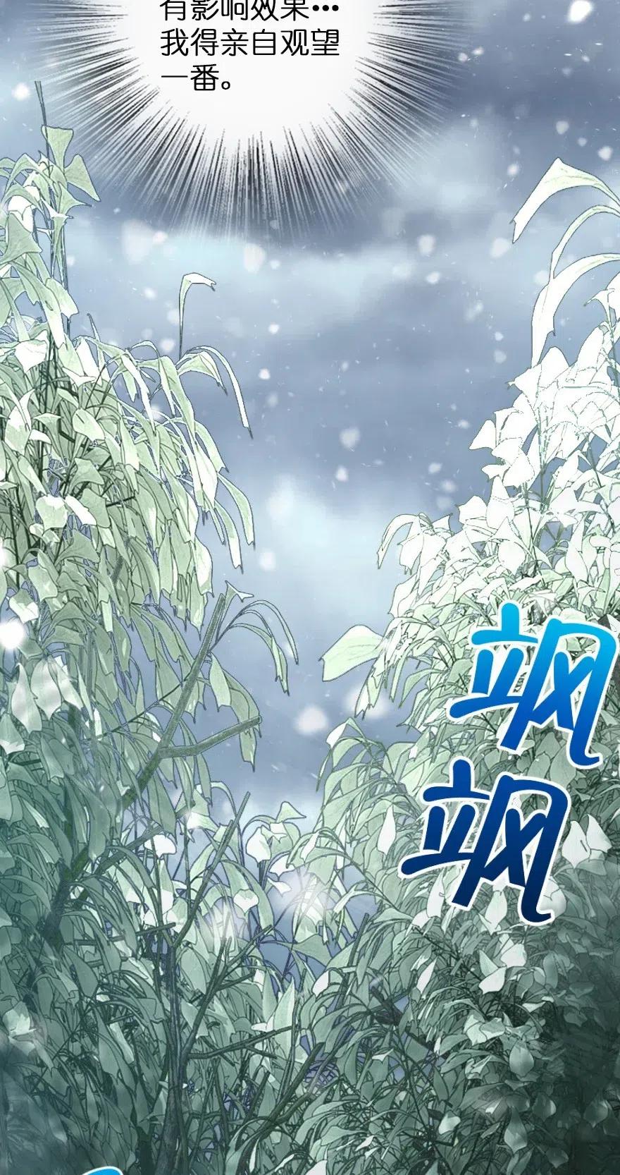 《放开那个女巫》228 森林之心 第15页