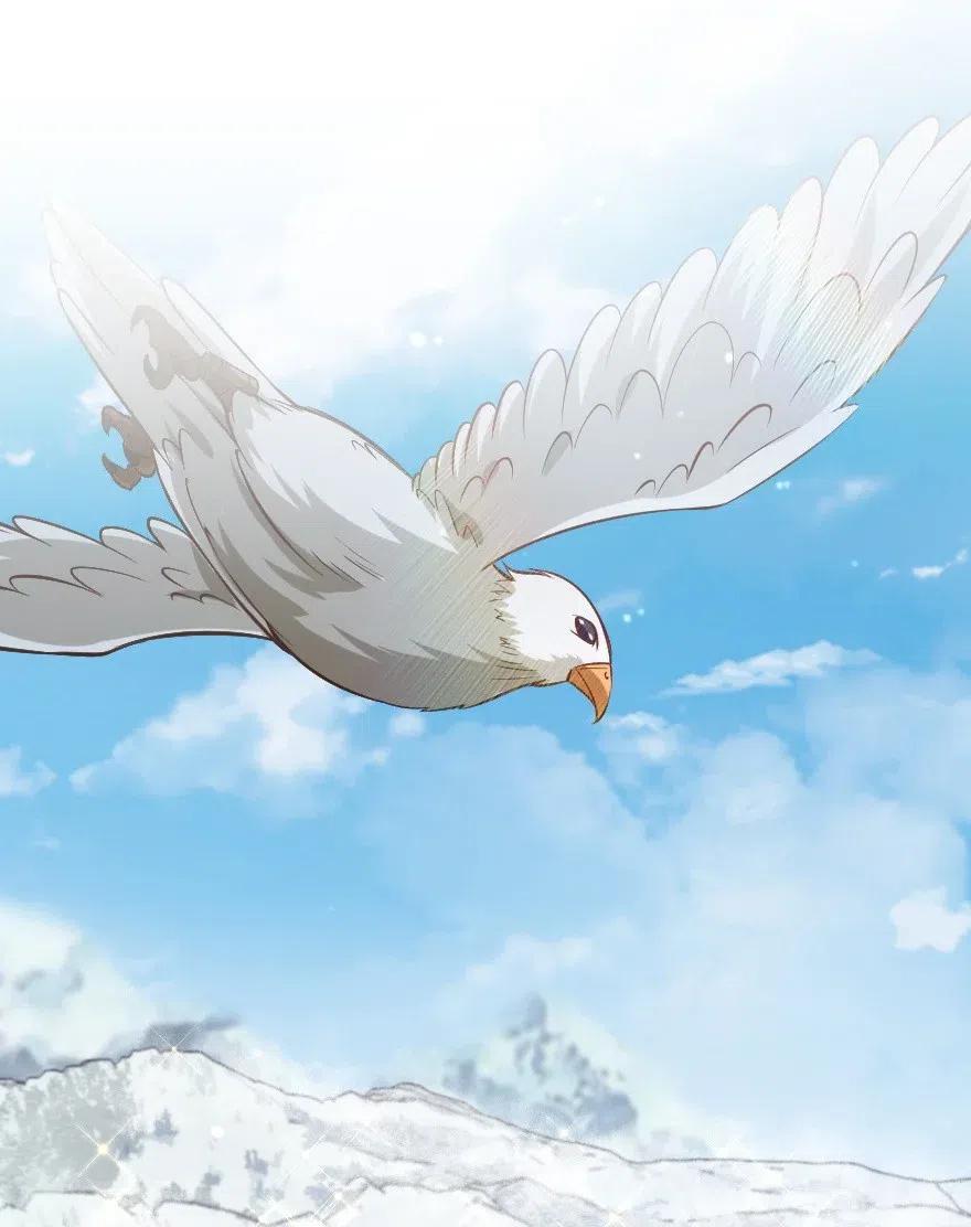 放开那个女巫 284 星星之火 第2页