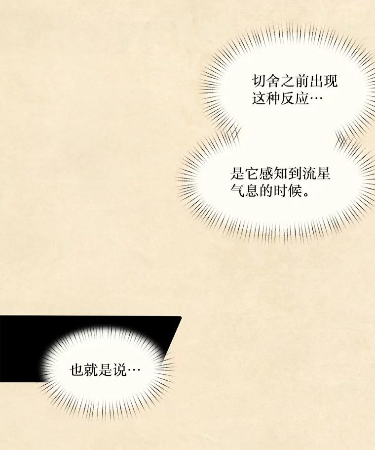 《在流星坠落之处等待》88.那不可能是奇迹（2） 第42页