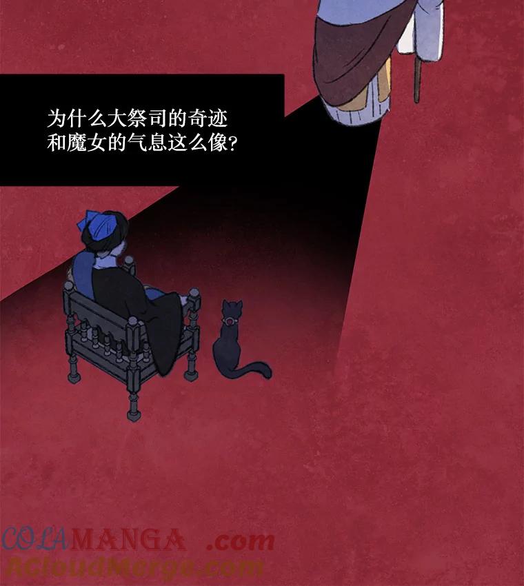 《在流星坠落之处等待》88.那不可能是奇迹（2） 第46页