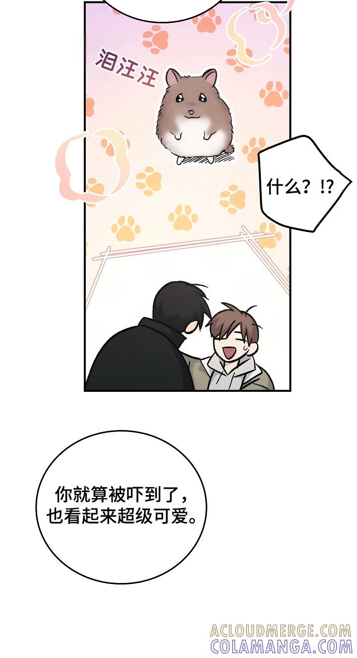 《被男人掌控生死》第122章：【第二季】很重要的人 第17页
