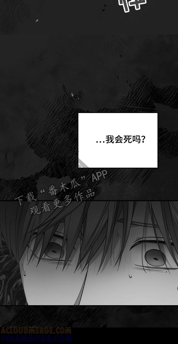 《被男人掌控生死》第132章：【第二季】再次重生 第15页
