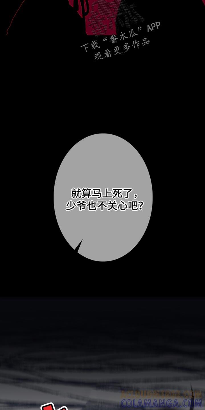 《鬼门关》第150章：【第二季】同情 第13页