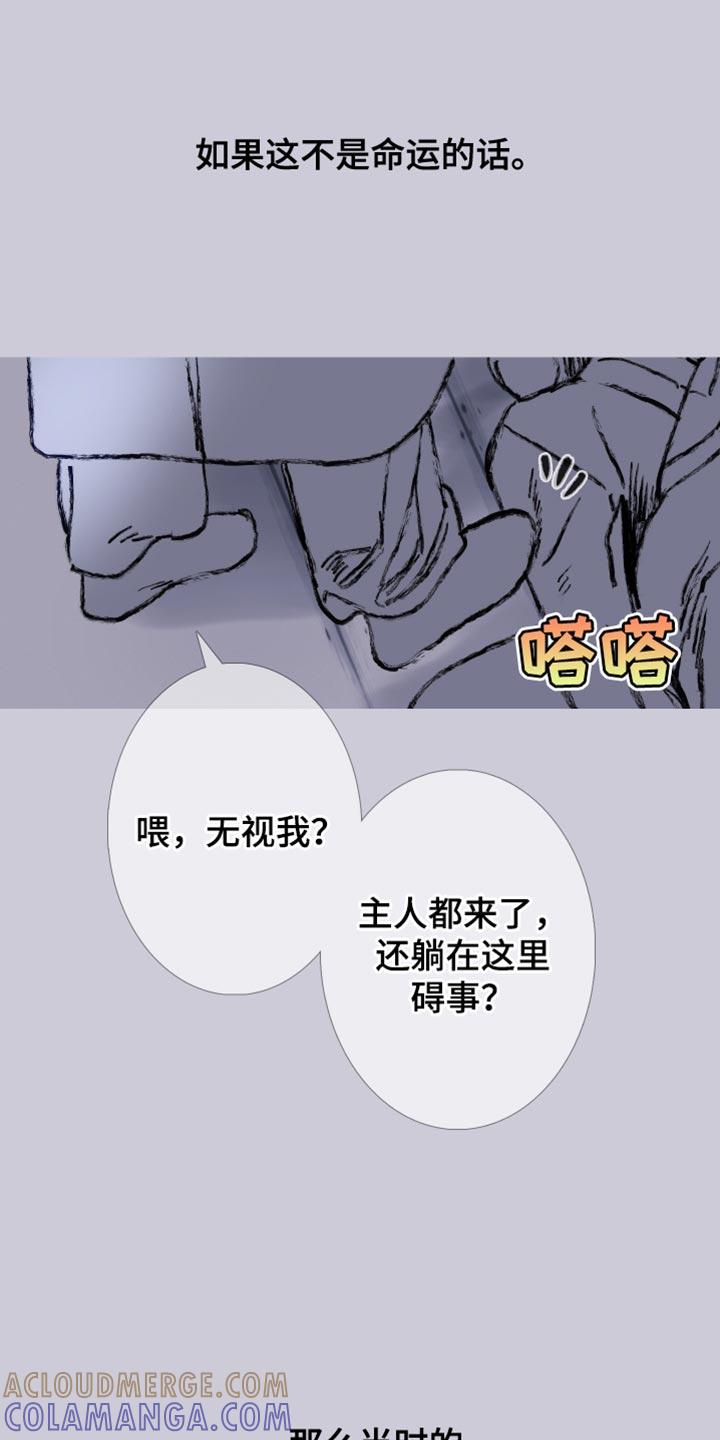 《鬼门关》第163章：【第二季】有趣的事情 第13页