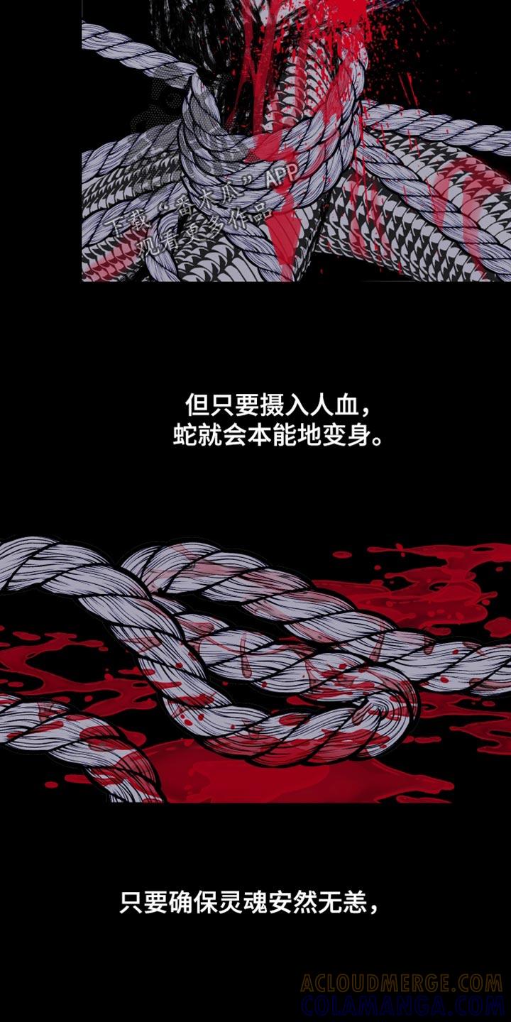 《鬼门关》第164章：【第二季完结】不愿意想起来 第17页