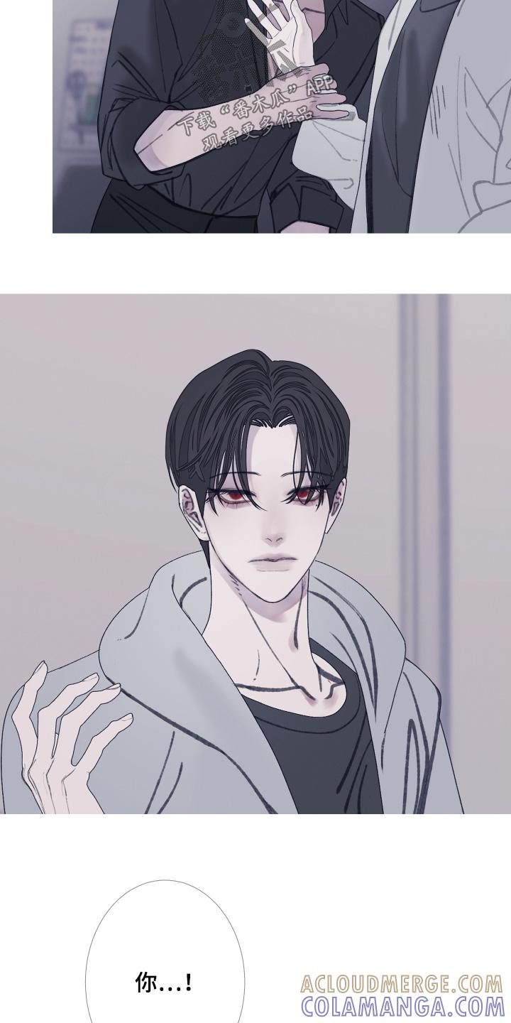 《鬼门关》第175章：【第三季】放手吧 第11页