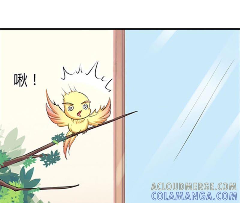 《误入婚途：叛逆娇妻不好惹》医生秦铭 第13页