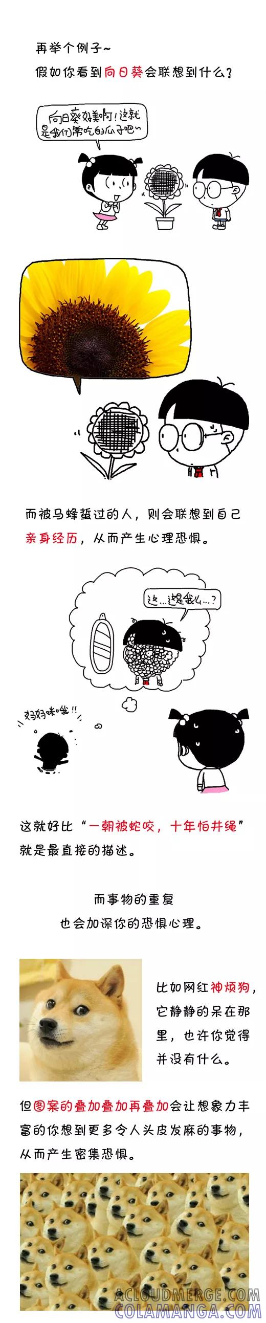 小明系列漫画 第508话 第5页