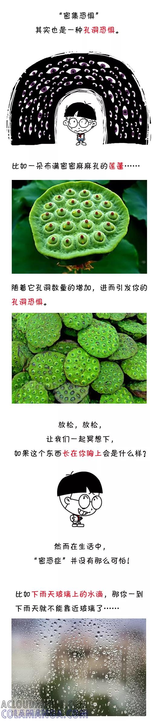 小明系列漫画 第508话 第6页