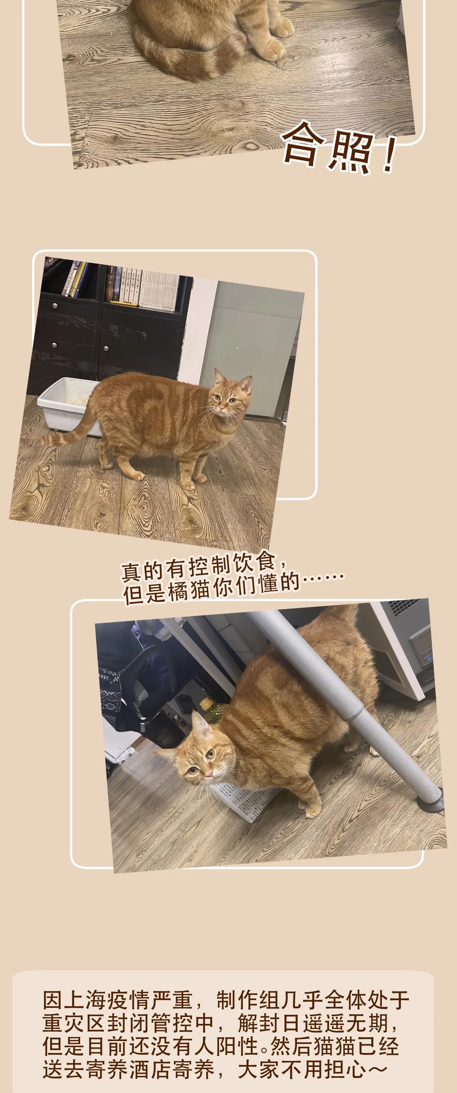 《反派初始化》118 我可以！ 第30页