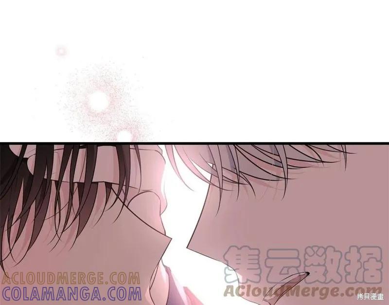 《明明是冷美人小姐却变成了忠犬大少爷》第77话 第221页