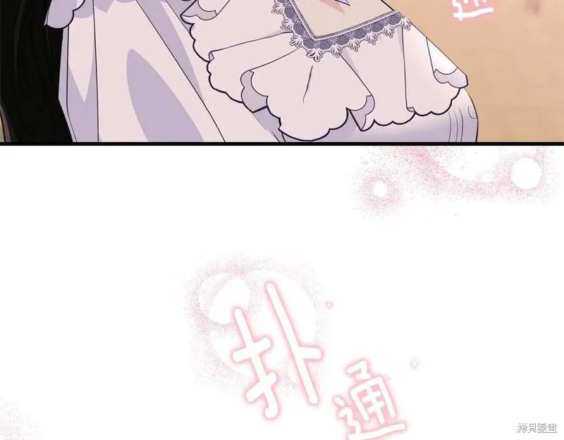 《明明是冷美人小姐却变成了忠犬大少爷》第77话 第216页