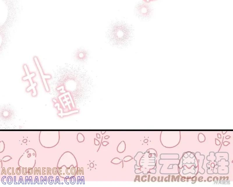 《明明是冷美人小姐却变成了忠犬大少爷》第77话 第217页
