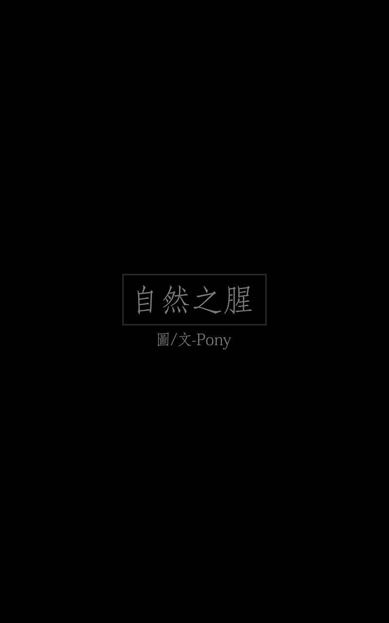 黑盒子 [第93话] 自然之腥 第1页